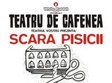 scara pisicii