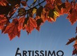 scoala de muzica artissimo