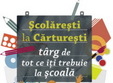 scolaresti la carturesti timisoara