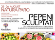 sculptura in pepeni arta designului culinar