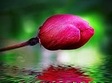 seara de meditatie