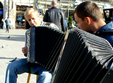 seara live