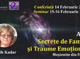 seminar arad secrete de familie i traume emo ionale