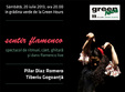 sentir flamenco