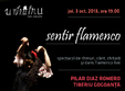 sentir flamenco