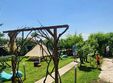 poze senzofest festival cu vibra ii senzoriale