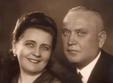 seria de conferinte familii din istoria timisoarei