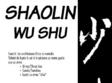 shaolin wu shu arte martiale