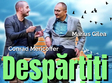 sibiu comedia despar i i din dragoste 