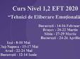 sibiu curs nivel 1 2 tehnici de eliberare emotionala eft 