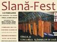 slana fest 2014 la cluj napoca