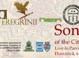 songs of the citadel live in parcul rozelor