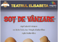 sot de vanzare