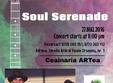  soul serenade concert live roots music