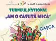 spectacol am o casuta mica cu gasca zurli
