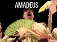 spectacol amadeus