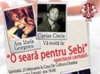 spectacol caritabil o seara pentru sebi 