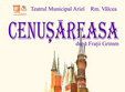 spectacol cenusareasa la teatrul ariel