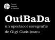 spectacol dans ouibada la teatrul national