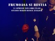 spectacol de dans contemporan frumoasa si bestia
