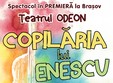 spectacol de teatru copilaria lui enescu 