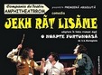 spectacol de teatru o noapte furtunoasa la galati