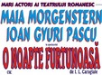 spectacol de teatru o noapte furtunoasa la iasi
