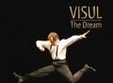 spectacol de teatru vis la bacau