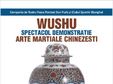 spectacol demonstratie de arte martiale chinezesti la bucuresti