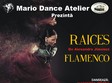 spectacol flamenco raices alexandra jimenez 