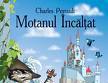 spectacol motanul incaltat la teatrul anton pann