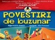 spectacol povestiri de buzunar