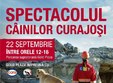 spectacolul cainilor curajosi 