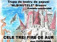 spectacolul de teatru de papusi cele trei fire de aur 