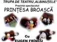 spectacolul de teatru de papusi printesa broasca 