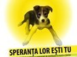 speran a lor e ti tu