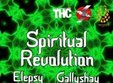 spiritual revolution xen