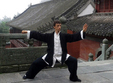 stagiu intensiv chen taijiquan muntii apuseni