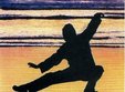 stagiu intensiv tai chi