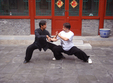 tabara de vara poiana brasov exersare taijiquan