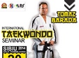 stagiul interna ional de taekwon do sibiu 2014