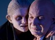 stagiunea de vara la teatrul sibian 