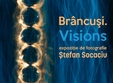 stefan socaciu brancusi visions