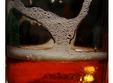 student beer party