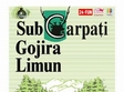 subcarpati in kulturhaus