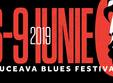 suceava blues festival