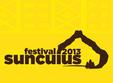 suncuius festival 2013