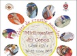 tabara de creatie populara micii mesteri din copou 2011