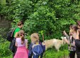 poze tabara de echitatie conectat la natura 