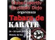 tabara de karate pentru copii